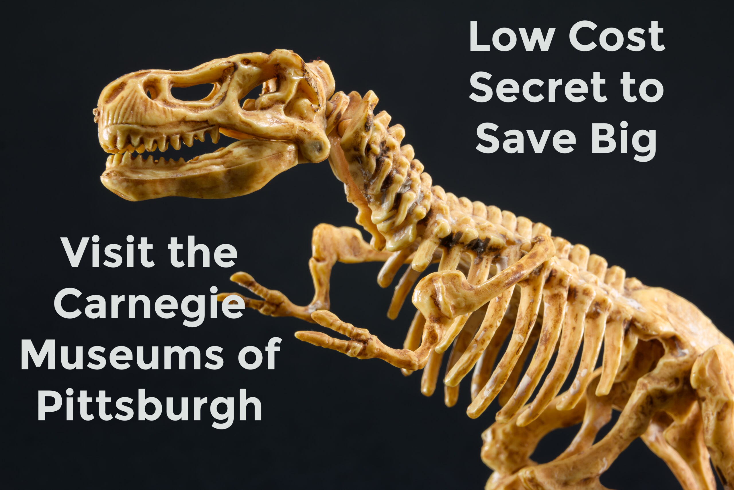 How to Go to the Carnegie Museums for Cheap
